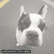 ©iStockphoto.com/tunart.jpg